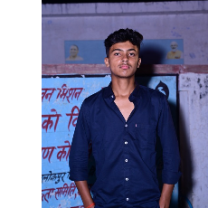 Raman Tripathi-Freelancer in Pilkhau,India