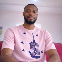 Skyie Adonis-Freelancer in Abuja Municipal Area Council,Nigeria