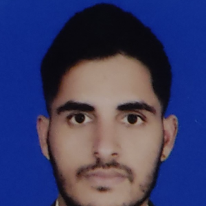 Dipak Raj Jaishi-Freelancer in Kathmandu, Nepal,Nepal