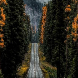 Rasidul-Freelancer in Guwahati,India