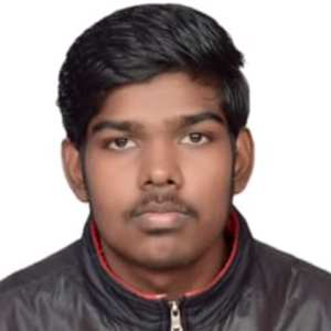 Krishna Prajapati-Freelancer in Ghaziabad,India