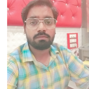 Shubham Pal-Freelancer in muzaffarnagar,India