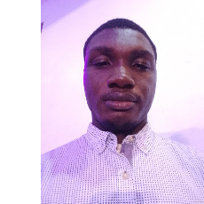 Oloye Noel-Freelancer in Lagos,Nigeria