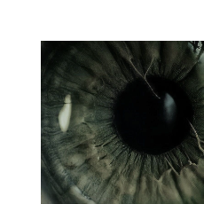 John Harris-Freelancer in Marseille,France