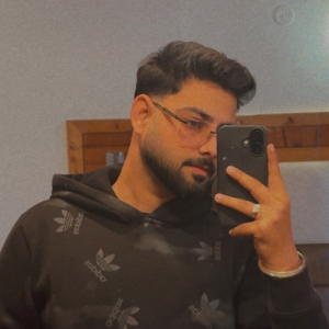 Dikshit Dhiman-Freelancer in Ludhiana,India