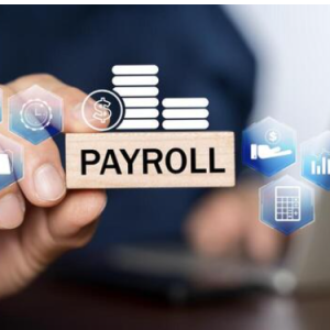 Rishabh Rai-Freelancer in New Delhi,India