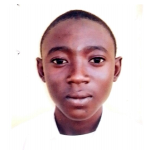 Huzaifa Salihu Ushama-Freelancer in Minna,Nigeria