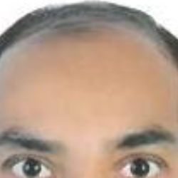 Shaikh Iqbal-Freelancer in Abu Dhabi,UAE