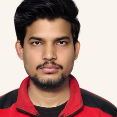 Frank William-Freelancer in Delhi,India