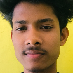 Ashmit Das-Freelancer in Hojai,India