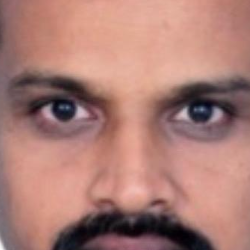 Vidyasagar Elluru-Freelancer in Jersey City,USA