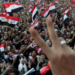 Mohamed Eissa-Freelancer in Damietta,Egypt