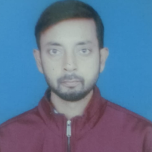 Bishwajit Ghosh-Freelancer in Hazaribagh,India