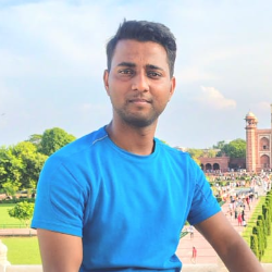INZMAMUL ANSARI-Freelancer in Lucknow,India