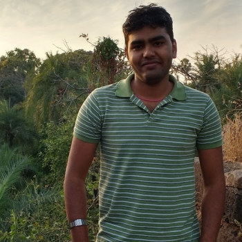 Narendra Singh-Freelancer in Dombivli,India