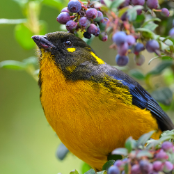 Pooja Phadatare-Freelancer in Navi Mumbai,India