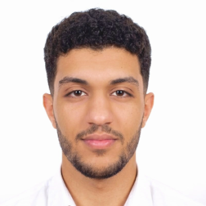 Ziad abdelraouf-Freelancer in Alexandria,Egypt
