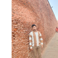Joe Ani-Freelancer in Ranni,India