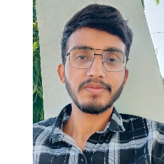 Vishal Patel-Freelancer in Udaipur,India