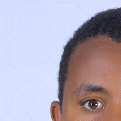 Temesgen Fetamo Fetamo-Freelancer in Hossana,Ethiopia