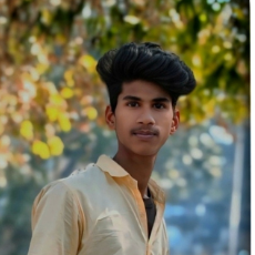 Ritesh Gupta-Freelancer in Maghar,India