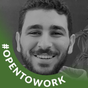 Ahmed Hassan-Freelancer in Cairo,Egypt