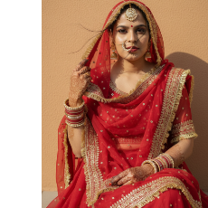 Priyanka Chautala-Freelancer in Rustampur,India
