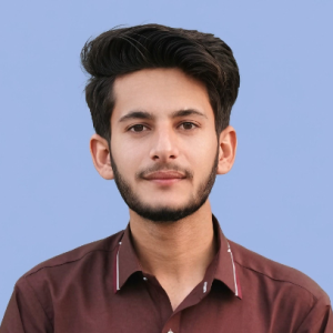 Hassnain Ali-Freelancer in Okara,Pakistan