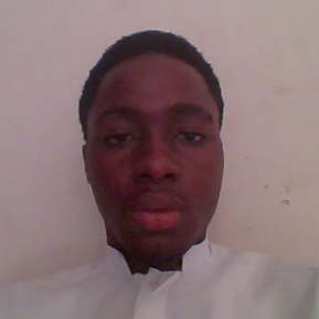 Damian Chigozie-Freelancer in Idodo,Canada