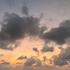 Rashmika Sehan-Freelancer in Kaluthara,Sri Lanka