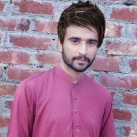 Ameer Hamza-Freelancer in Gujranwala,Pakistan
