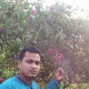 Anas Mia-Freelancer in Dhaka,Bangladesh