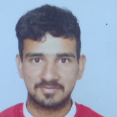 Dinesh Kumar-Freelancer in Bilaspur,India