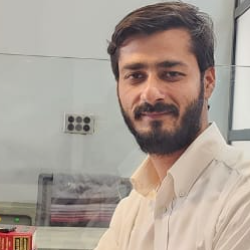 Hassan Naqvi-Freelancer in Rawalpindi,Pakistan