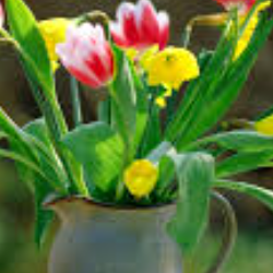 Rakesh Kumar-Freelancer in shimla,India