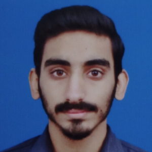 Haseeb Khalid-Freelancer in Sargodha,Pakistan