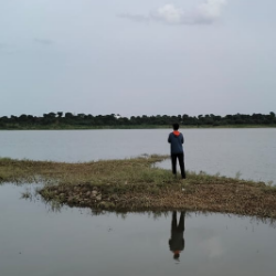 SarangSG-Freelancer in Amravati,India