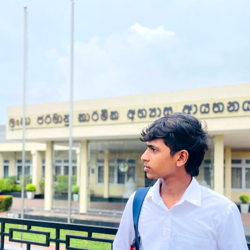 Chathusha Pansilu-Freelancer in Piliyandala,Sri Lanka