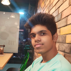 Rounak Singh-Freelancer in Jamshedpur,India