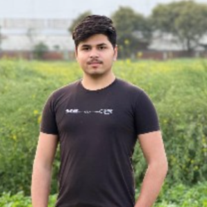 Anuj Sharma-Freelancer in Haileymandi,India