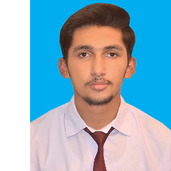 Ali Mardan Khan Niazi 04-Freelancer in Multan,Pakistan