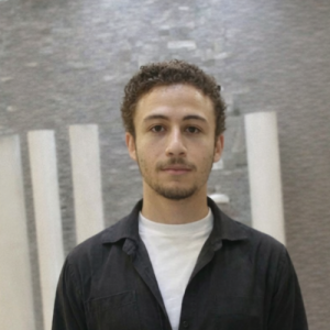 Ahmed Mohsen-Freelancer in ,Egypt