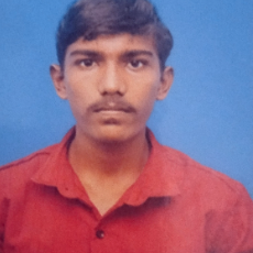 Surya K-Freelancer in Parappadi,India
