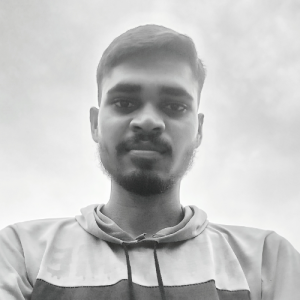 Navin Kumar-Freelancer in sirsaganj,India