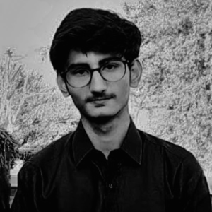Malik Umair-Freelancer in Karachi,Pakistan