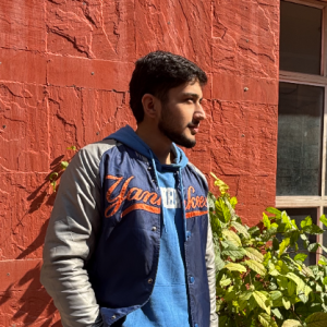 Mohammad Yazdan-Freelancer in New Delhi,India