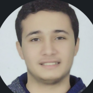 Mohamed Ahmed-Freelancer in Banī Suwayf,Egypt