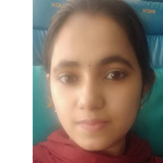 Rose Mery-Freelancer in Bhovi Palya,India
