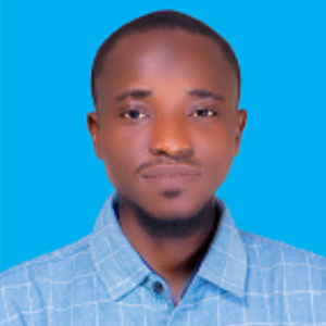 Abdullahi Olamilekan-Freelancer in Ede,Nigeria