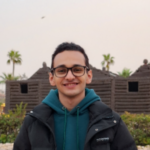 Ahmed Elsheikh-Freelancer in Tanta,Egypt